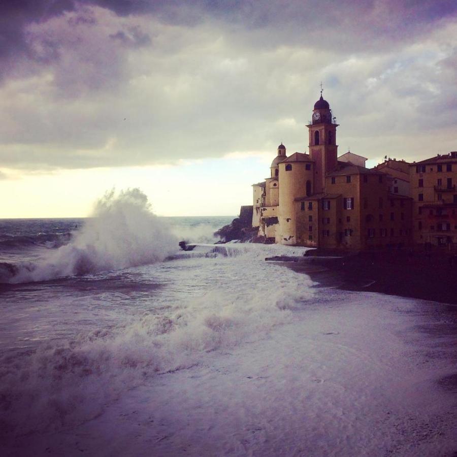 La Casa Della Fiore Camogli Exteriör bild
