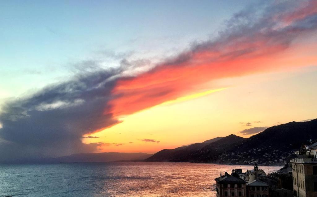 La Casa Della Fiore Camogli Exteriör bild
